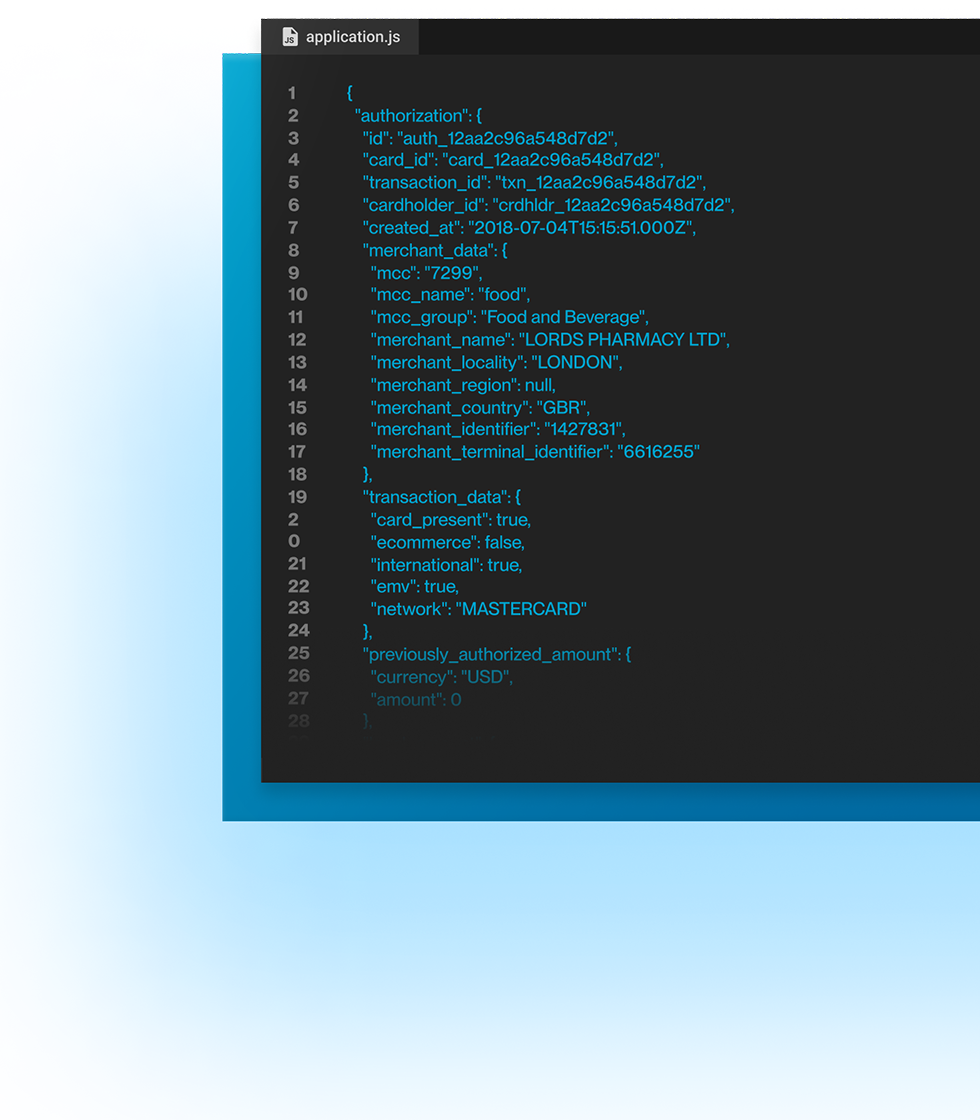 API code screenshot